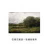 Amazon campo paisaje arte dormitorio pintura de pared baño exterior marco pintura vintage marco dorado sala de estar pintura decorativa
