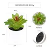 Más de 100 Tipos de Combinaciones de Plantas Suculentas Mini de Plástico Simuladas en Maceta, Mini Bonsáis Suculentos Más Vendidos Transfronterizos, Decoración para el Hogar, Adornos Creativos
