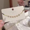 Pulsera de Estrella de Zirconia Completa, Pulsera de Estrella de Cinco Puntas Soñadora y Brillante, Joyería de Lujo Ligero de Nicho de Alta Gama, Pulsera Exquisita