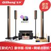 Qisheng 5.1 Audio para Teatro en Casa Cantante KTV Karaoke Set Sala de Estar Bluetooth Inalámbrico Surround