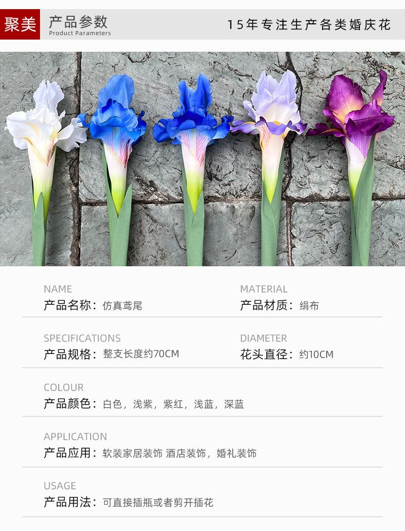 详情_03.jpg
