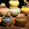 Vaso de Flor Suculenta Cerâmica Preço Especial Liquidação Esmaltado Tamanhos Grande e Pequeno Simples Pastoral Mesa Vasos de Barro Respirável Plantas Leede Estoque