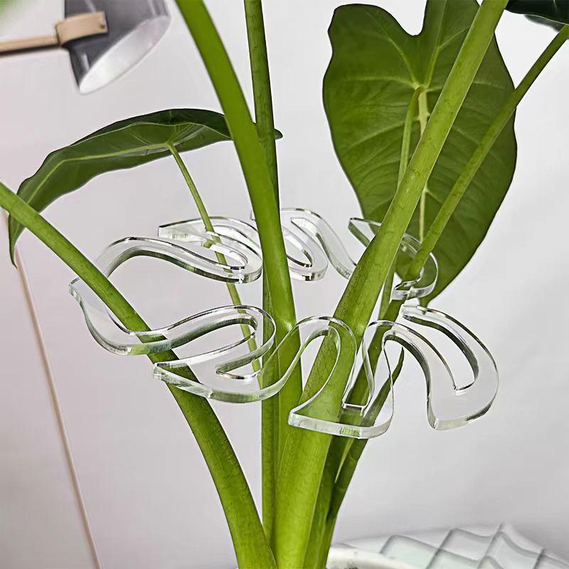 微信图片_20240808133335