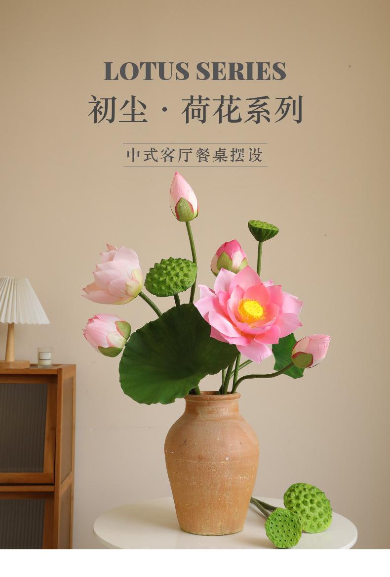 初尘荷花系列_01.jpg