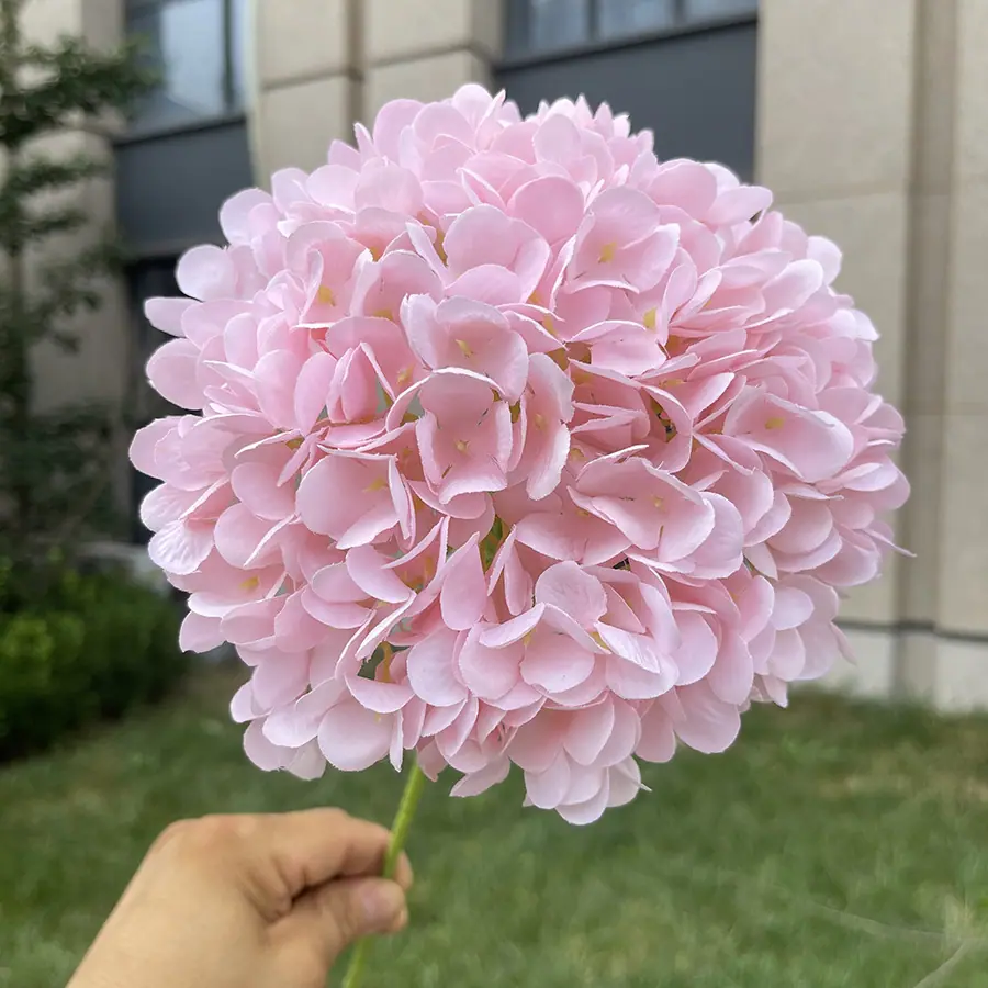 216片诗意美感大绣球-xzmxd-深粉.JPG
