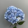 Flores Artificiales de Mini Hortensia de 5 Cabezas Transfronterizas, Materiales Florales para Bodas, Arreglo Floral de Pasillo, Flores Falsas, Arte Floral para Decoración de Bodas