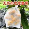 Bolsas a Prueba de Insectos para Frutas y Verduras, Mallas a Prueba de Pájaros, Bolsas para Frutas para Arándanos y Tomates, Bolsas de Malla Transparente para Uvas y Pitahaya, Bolsas Transparentes para Frutas y Verduras