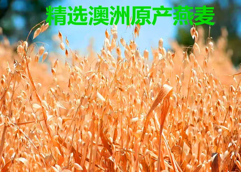 详情6