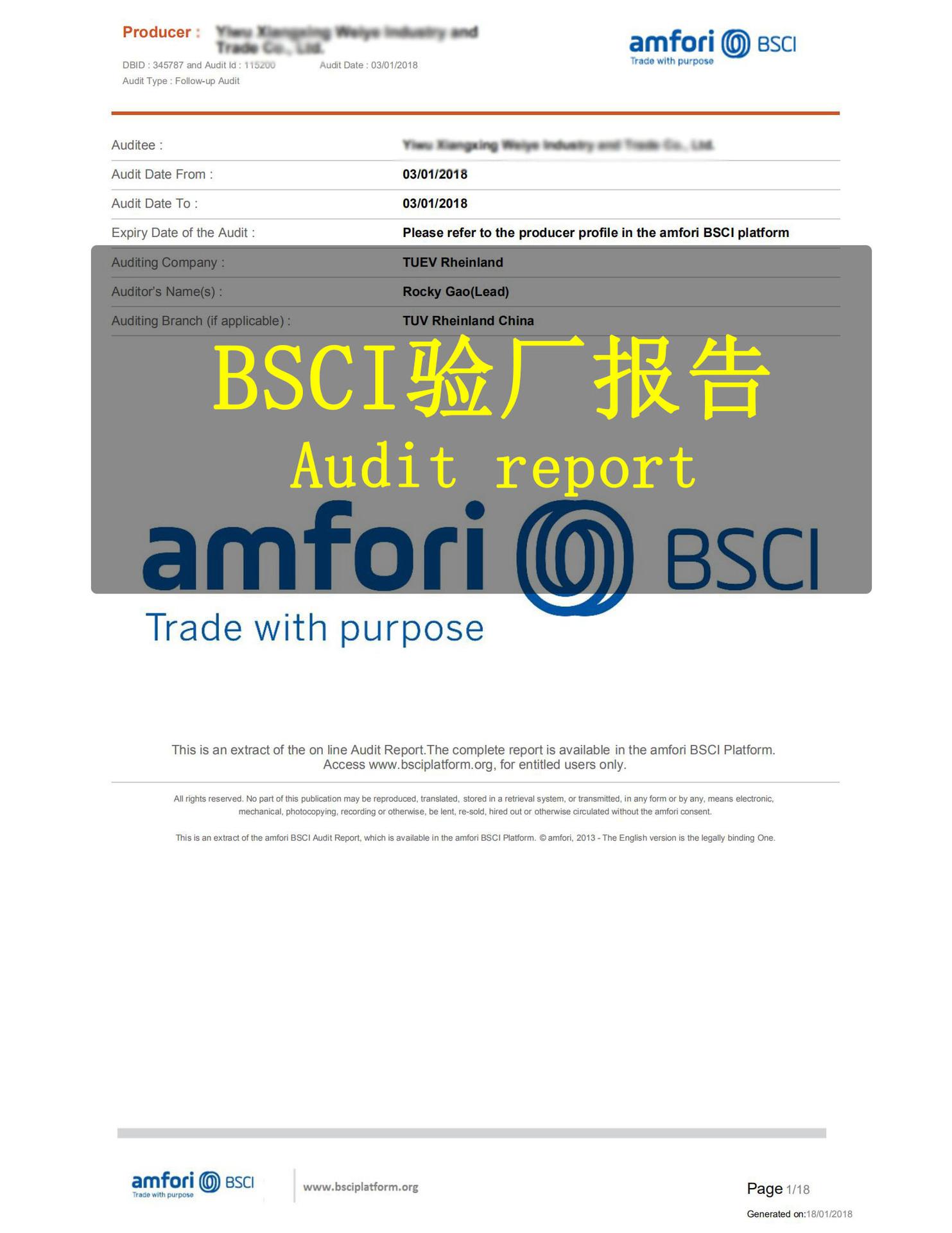 BSCI.jpg