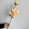 2 cabeças de rosa sub-grão findra rosa estampada decoração de fundo de salão de casamento arranjo de flores de rosa paisagismo floral comércio exterior