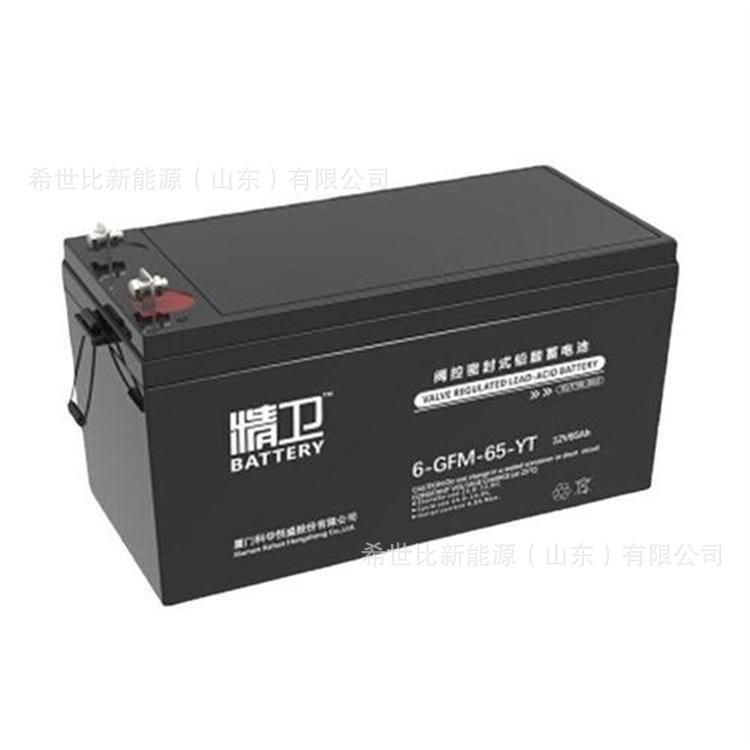 12V65AH2.jpg