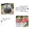 Bolsas de Malla de Nylon Personalizadas por el Fabricante en Varias Especificaciones, Mallas Anti-Insectos Personalizadas para Melones, Frutas y Verduras, Bacon Anti-Mosca de la Fruta, Bolsas de Malla Anti-Insectos