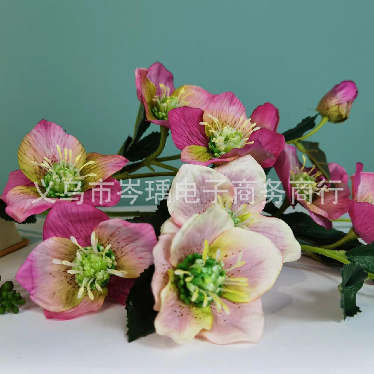 微信图片_20220608110130.jpg