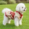 Ropa para mascotas, bolsa cruzada de felpa y engrosada estilo Año Nuevo chino, traje Tang, chaleco festivo, atuendo de dos patas para perros pequeños y medianos