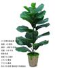 Planta de árvore artificial vaso de planta verde artificial sala de estar interior grande decoração de piso de bonsai artificial árvore artificial Qin Ye Rong