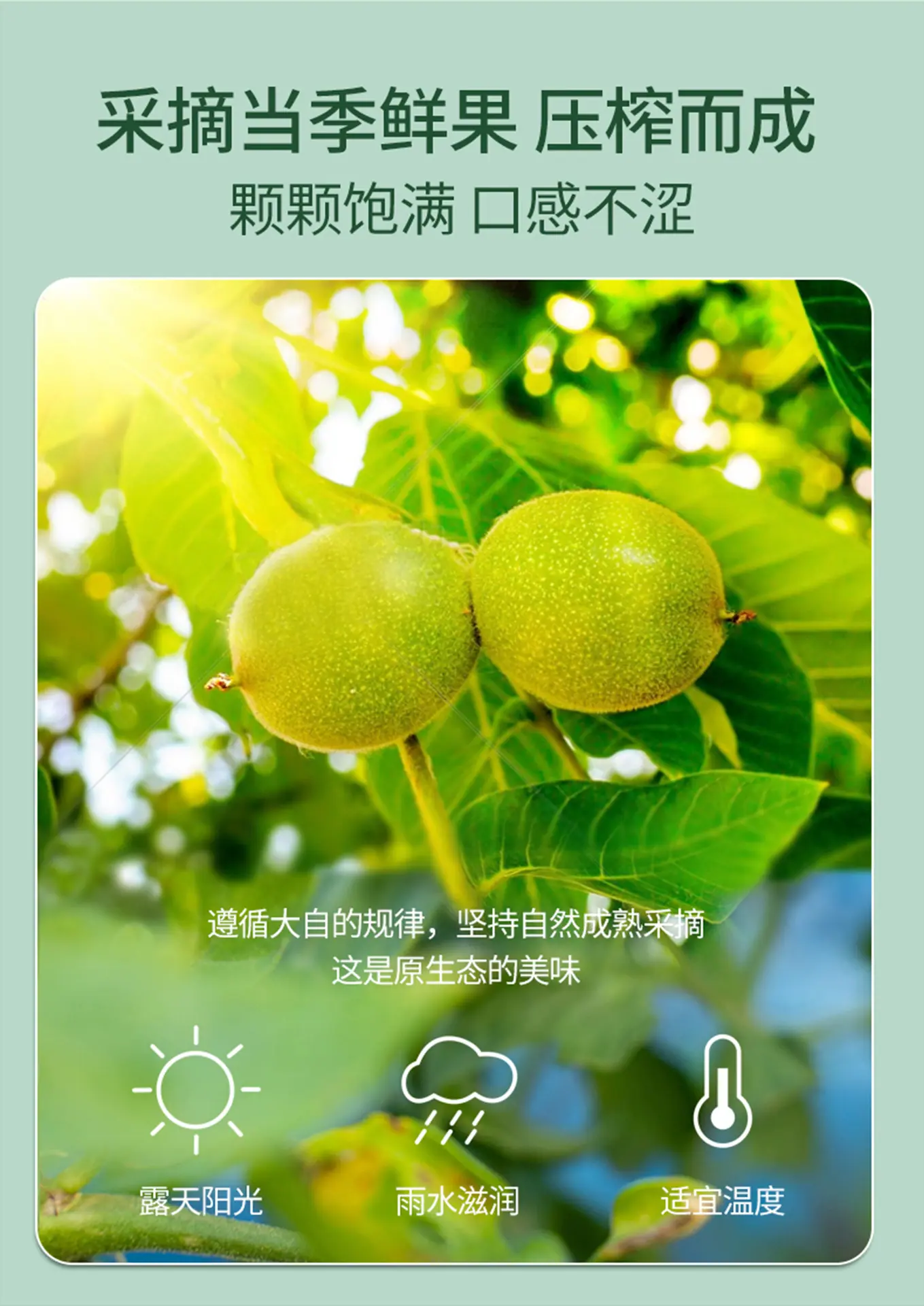 有机核桃油-500ml-详情页_05.jpg