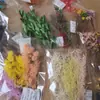 Bolsas de Porciones Pequeñas de Flores Secas, Flores Conservadas, Abanicos Hechos a Mano para DIY, Arreglos Florales Flotantes, Actividades de Team Building, Pegamento, Pinzas