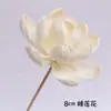 Xiangmanwu DIY Difusor de Aroma Flores Secas Adornos de Flores Secas para Hotel Habitación Modelo de B&B Flores Difusoras de Aceite Esencial