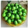 Venta al por Mayor de Espuma Modelo de Fruta Pequeña Set de Verduras Pequeñas Fruta Falsa Decoración Atrezzo Fruta Mini Simulada