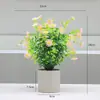 Amazon Planta Verde Simulada Pequeno Vaso de Eucalipto Margarida Decoração de Casa Planta Verde Bonsai Flores Artificiais Enfeites