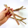 Suporte para papagaio Suporte de haste Barra escada Pau de dente de papagaio Brinquedo Pau de lixar garra Pau de lixar Brinquedo de lixar Suprimentos para pássaros Suporte Haste