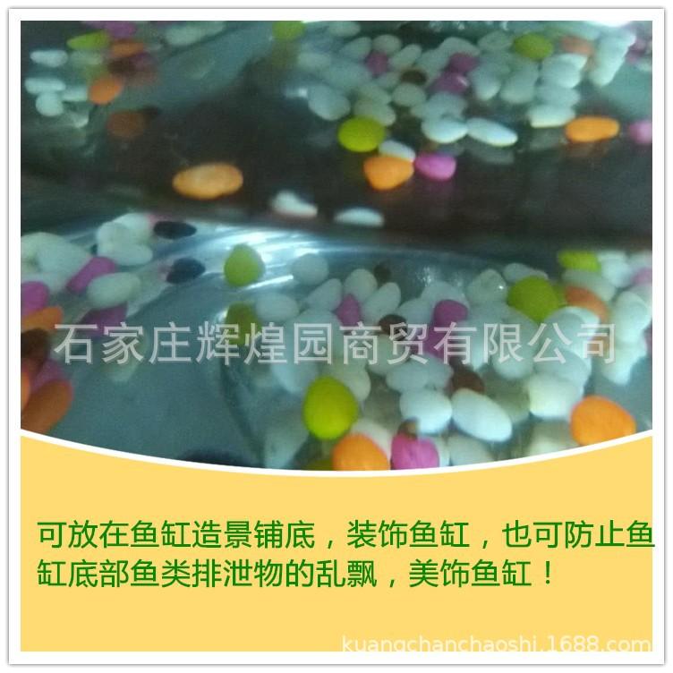 bae03f26344792e682e77aba4bb1cb