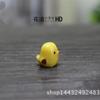 Musgo suculento micro paisaje paisaje mini pollo lindo botella cielo estrellado material animal