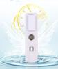 Pulverizador Portátil de Niebla Fría Instrumento Pulverizador Humidificador Recargable Instrumento de Hidratación Pulverizador de Alcohol Desinfectante
