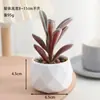 Venta al por mayor de plantas suculentas artificiales, lote mixto de plantas suculentas en maceta diamante, ventas directas de fábrica, decoraciones de plantas verdes para oficina