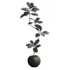 Árbol de Goma Black Diamond Planta Verde Artificial Decoración de Sala de Estar de Lujo de Gama Alta Planta Falsa Biónica Grande de Pie Estilo Wabi-Sabi