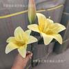 Flor Artificial Casamento Impressa em 3D Toque Filme Flor de Lírio Material Decoração de Casa Exibição Interna Flor Falsa Flor de Lírio