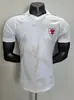 2627 Novas Camisas de Futebol Versão Jogador, o Mesmo Estilo das Camisas Usadas em Partidas da Escócia, País de Gales e Uruguai, Podem Ser Impressas com Números e Enviadas em Nome de Terceiros