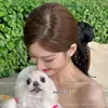 Amarrador de Cabelo de Bolinhas Deslumbrante Estilo Zhao Lusi, Corda de Cabelo com Laço Grande Xu Yan, Acessório de Cabelo, Amarrador de Cabelo, Ornamento de Cabelo, Flor de Cabelo