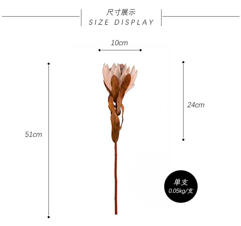 尺寸展示.jpg