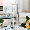Novo Estilo Ins Chinoiserie High-End Retro Luxo Acessível Transparente Vidro Vaso Planta Verde Hidropônico Sala de Estar Decoração Ornamentos