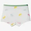 Uau Ah Atacado Nova Roupa Íntima Feminina 10A Virilha Antibacteriana Crianças Grandes Classe A Penteada Algodão Puro Boxer Menina Bebê