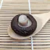 Hongos Shiitake Secos del Noreste 100g Empacados en Papel Hongos Dorados de la Montaña Changbai, Hongos Secos Especiales Cultivados en Granja, Entrega Directa desde el Lugar de Origen