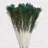 Suministro directo de fábrica de plumas de pavo real naturales 70-120 cm arreglo floral sala de estar sitio de servicio diseño de decoración 100 envío