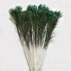 Suministro directo de fábrica de plumas de pavo real naturales 70-120 cm arreglo floral sala de estar sitio de servicio diseño de decoración 100 envío