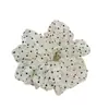2026 Nuevo Coletero Estilo Coreano, Versión Coreana Ins Puntos Pequeños Scrunchie Esponjoso, Elegante Accesorio para el Cabello de Malla Transparente para Mujeres