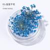 Arte de Unhas Flores Secas Atacado Flor de Renda Celebridade Cibernética Explosões DIY Japonês Pétala Decoração Padrão Unha Pequenos Acessórios