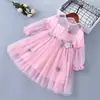 Vestido de Malla Infantil de Primavera Falda de Princesa Falda de Manga Larga para Niñas Falda Tutú Súper Hada Dama Comercio Exterior
