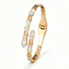 Pulsera impermeable de acero inoxidable con baño de oro real, Pulsera de acero ecológico con circonita y pedrería que no se decolora, Hueso de serpiente, Acero de titanio