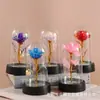 Buquê de Rosas Capa Plástica Flor Artificial Eterna Luminária Noturna Acrílica Decoração Aniversário Dia dos Namorados Presente Ornamento Transfronteiriço