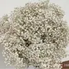 Gipsofila Flor Eterna Ramo de Flores Secas Venta Directa de Fábrica de Yunnan Gipsofila Flor Eterna Hecho a Mano DIY Flores al por Mayor