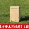 Cajas de Apicultura Tradicionales para Abejas de Tamaño Mediano, Cajas Secas de Madera de Cedro Atractoras de Abejas, Cajas de Abejas para Cría en Suelo, Cajas de las Tres Gargantas