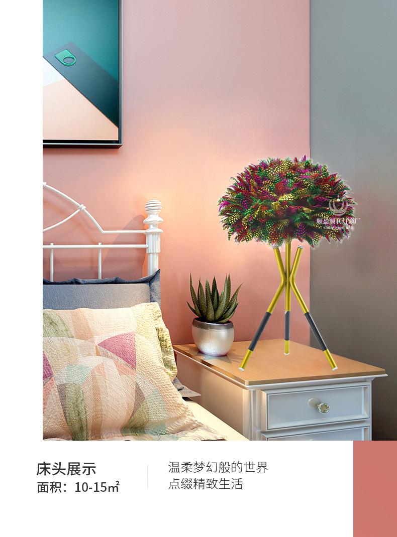 描述图_9.jpg