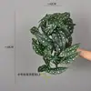 Colgante de Pared de Enredadera de Ratán Artificial Planta Verde Artificial Hoja de Manzana Manzano Cesta Colgante Enredadera Pared Rábano Verde Hoja de Siete Estrellas Colgando en la Pared
