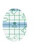 Adhesivo para Talón PU Impermeable Transparente Invisible Antiabrasión Artefacto para Pie Talón Adhesivo Antiabrasión Talón Talón Piel