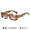 Gafas de Sol Europeas y Americanas Personalizadas con Ranura para Oreja Mismo Estilo Gafas de Sol Hip-Hop Tendencia Transfronteriza Gafas de Sol Estilo Urbano